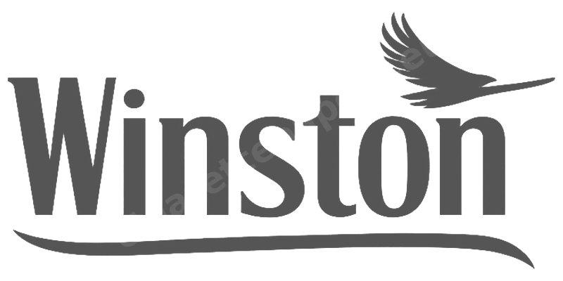 Winston logo